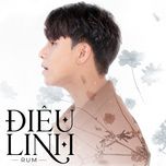 Điêu Linh-cover