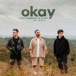 Okay(Extended Mix)-cover