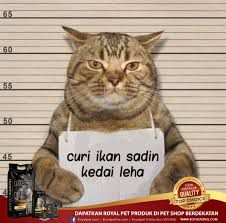 Di luar kemampuan ku 