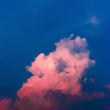 coveImg