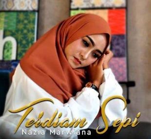 Terdiam Sepi (Andaikan Waktu Bisa Kuputar Kembali)-cover
