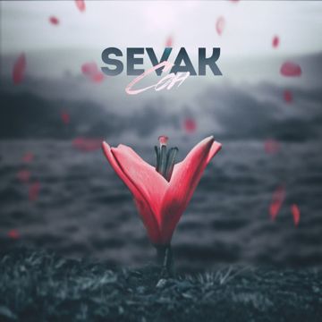 Сон(ZEEV)-cover