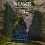 Numb-cover