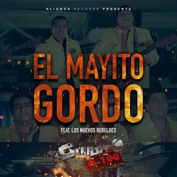 El Mayito Gordo-cover
