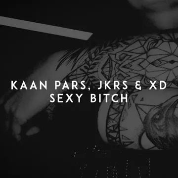 Sexy Bitch-cover