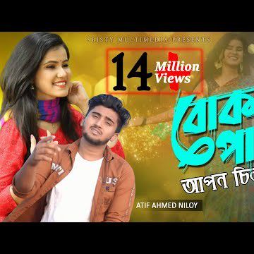 বোকা পাখি আপন চিনলি না