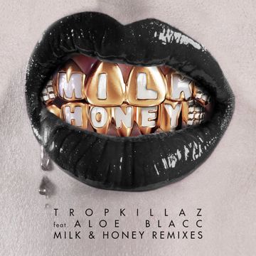 Milk & Honey (DJ Cruz Remix)-cover