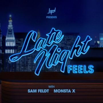 Late Night Feels-cover