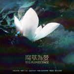 泸沽寻梦-cover