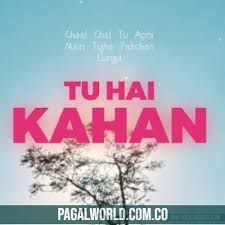 Tu Hai Kahan-cover