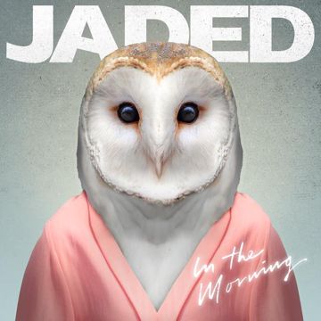 In the Morning(VIP Remix)-cover