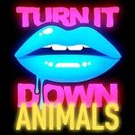 Turn It Down Animals(Kaskade's Paradiso Mash Up)-cover