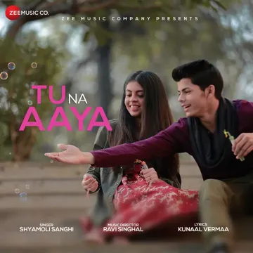 Tu Na Aaya-cover