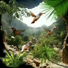 coveImg