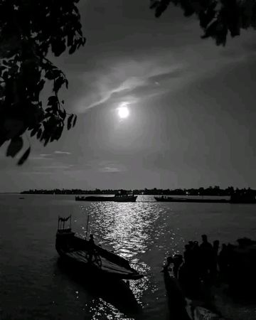 coveImg