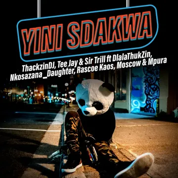 Yini Sdakwa (Radio Edit)-cover