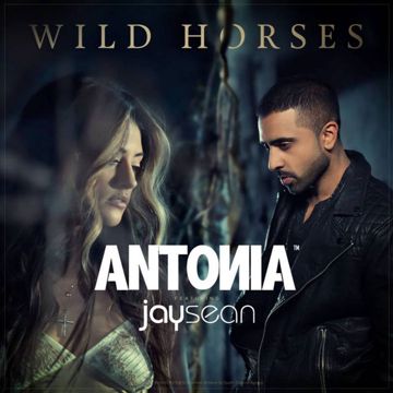Wild Horses-cover