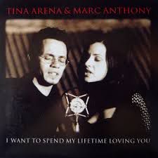 I Want To Spend My Lifetime Loving You-cover
