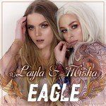 Eagle-cover