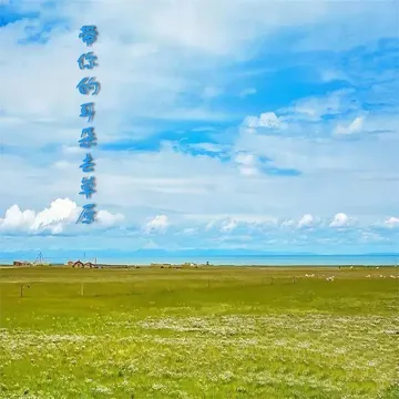 刺心-cover