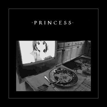 devi-mccallion-princess-cover-image