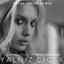 Yalnız Çiçek-cover