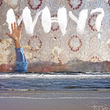 Why-cover