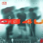 die 4 u-cover