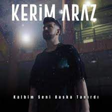 Kalbim Seni Başka Tanırdı-cover