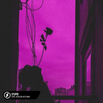 Stupid-cover