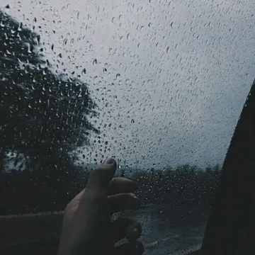 Please Come Back-cover