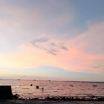 coveImg