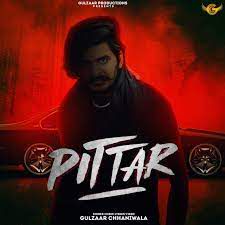 Pittar-cover