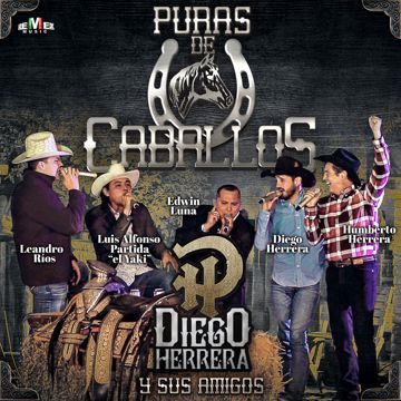 Potro Lobo Gateado-cover