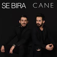 Cane-cover