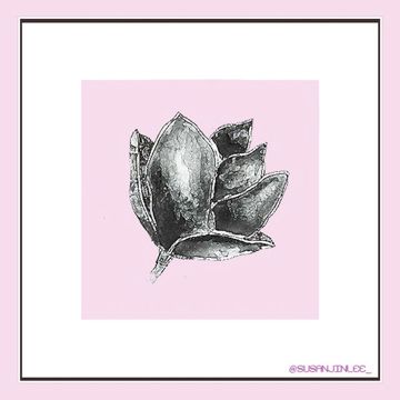홀로-cover