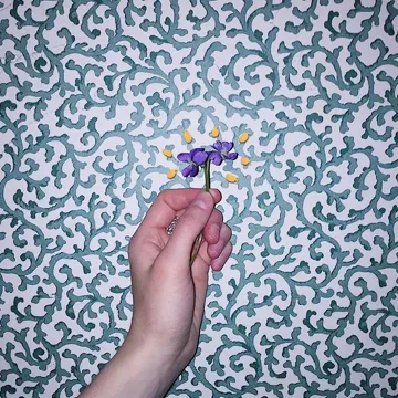 coveImg