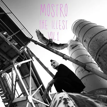 L'ottava meraviglia del mondo-cover