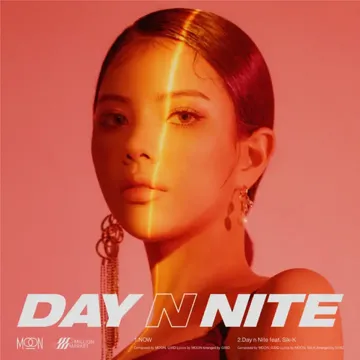 Day n Nite-cover