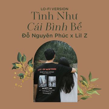 Tình Như Cái Bình Bể (Lofi Version)-cover
