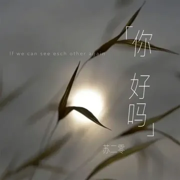 你 好吗-cover