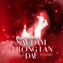 Say Đắm Trong Lần Đầu (SĐTLĐ)-cover