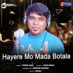 Hayere Mo Mada Botala-cover