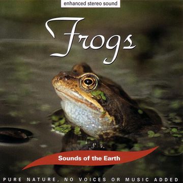 Frogs-cover