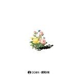 春日之花-cover