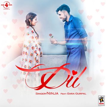 Dil-cover