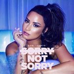 Sorry Not Sorry(Clean)