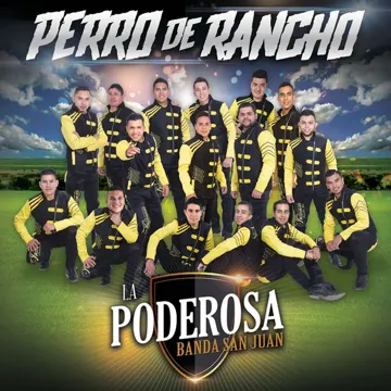 Pasito Perrón