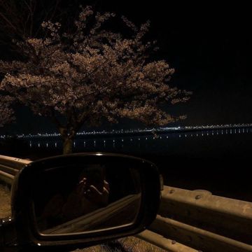 goodnight slevpy-cover