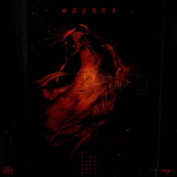 Safari-cover